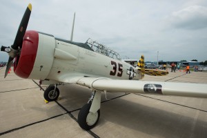 Our T-6